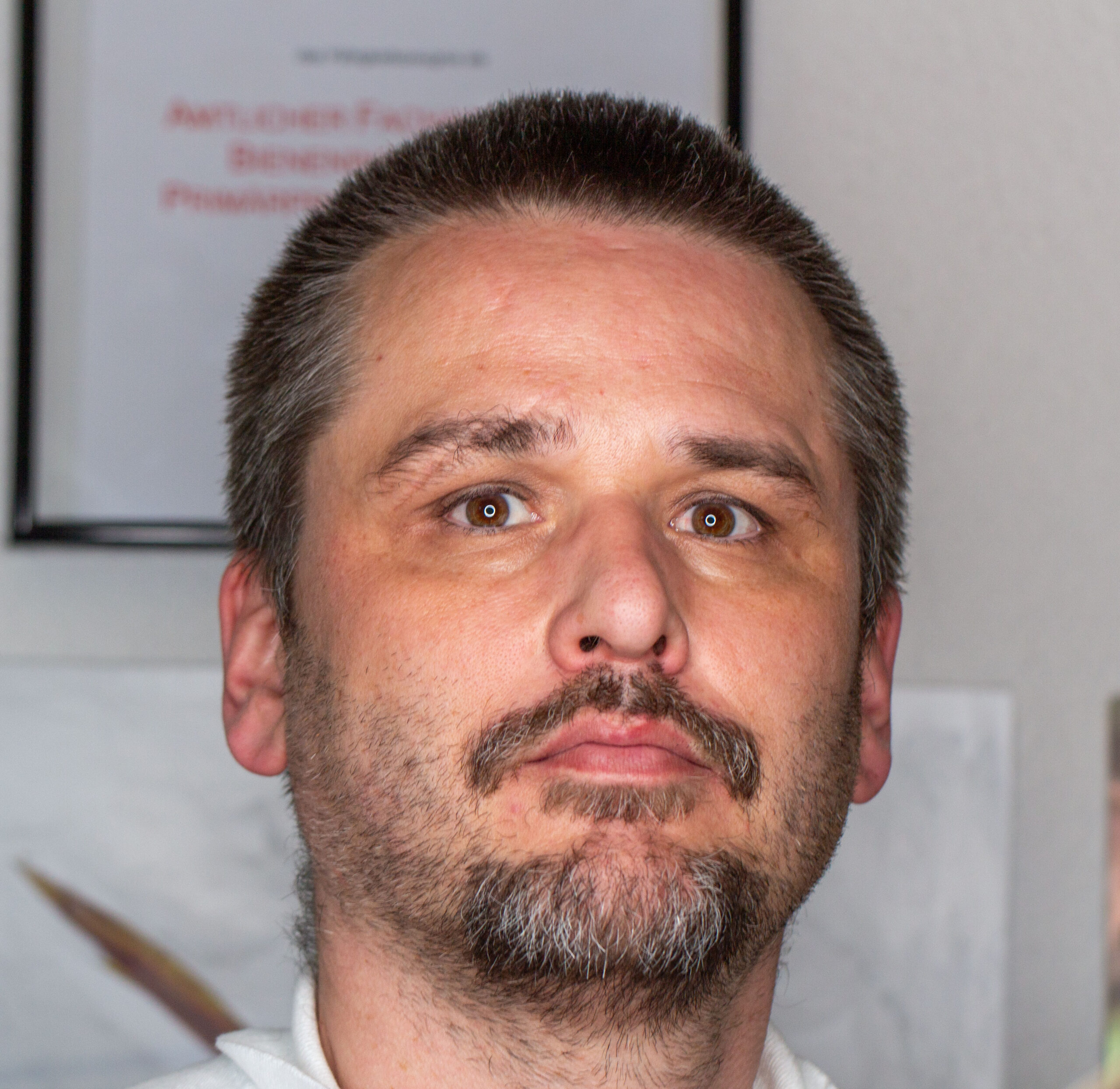 DavidHablützel